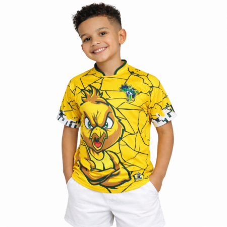 Camiseta Infantil  Criança Menino Menina Brasil Copa Amarela